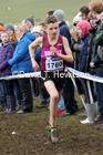 Boys under-15s, 2020 British Athletics Inter Counties Cross Country Champs., Prestwold Hall, Loughborough. Photo: David T. Hewitson/Sports for All Pics